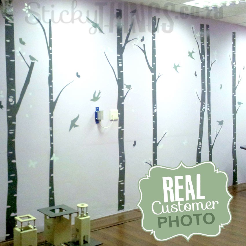 Birch Tree Forest in a Doctors Room