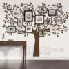 Family Tree Wall Art Decal with space for your family photographs