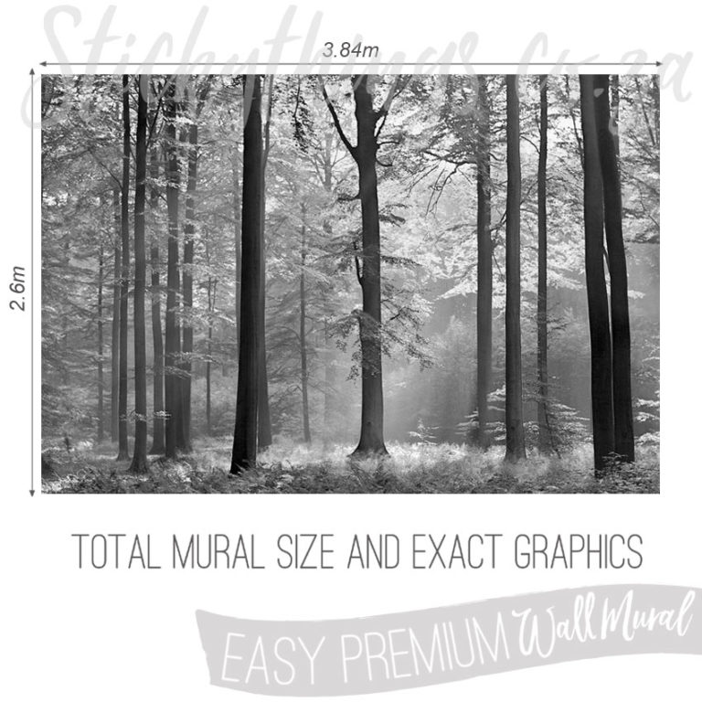 Size and Exact Graphics of Black and White Avalon Wall Mural