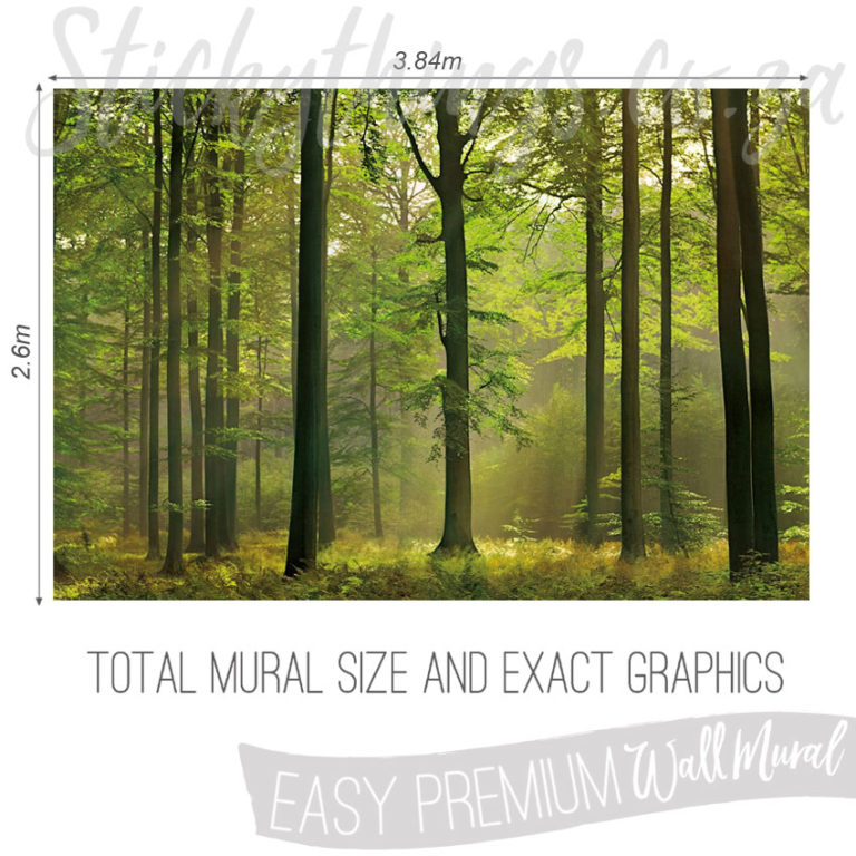 Size and Exact Graphics of Green Forest Photo Mural Wallpaper
