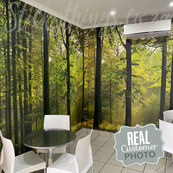 Forest Photo Mural Wallpaper on a wall