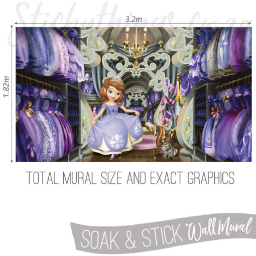 Measurements of Sofia the First Mural