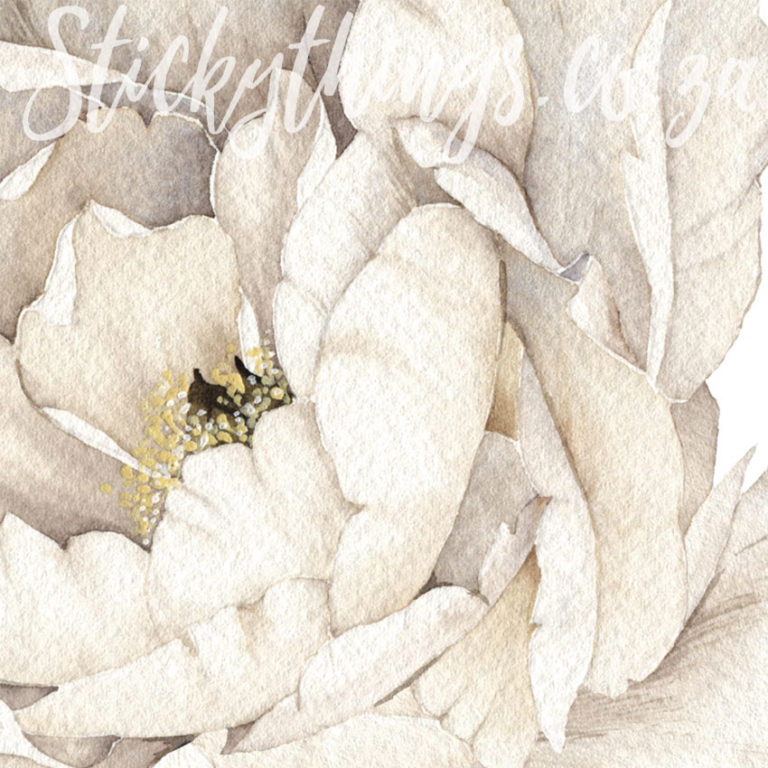 Close up of the detail in the cream watercolour peonies wall art