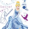 Close up of the Disney Cinderella Wall Decal