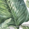 Close up of the watercolour painting in the Strelitzia Leaf Wall Mural