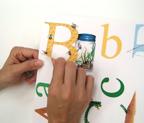 Peel and Stick Illustrations with Alphabet Wall Sticker