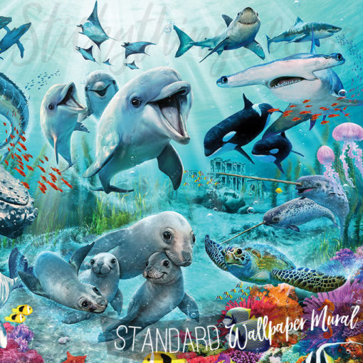 Close up of the Marine Life in the Dolphin Shark Wall Mural