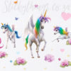 Close up of the Magical Unicorn Room Theme Wall Stickers