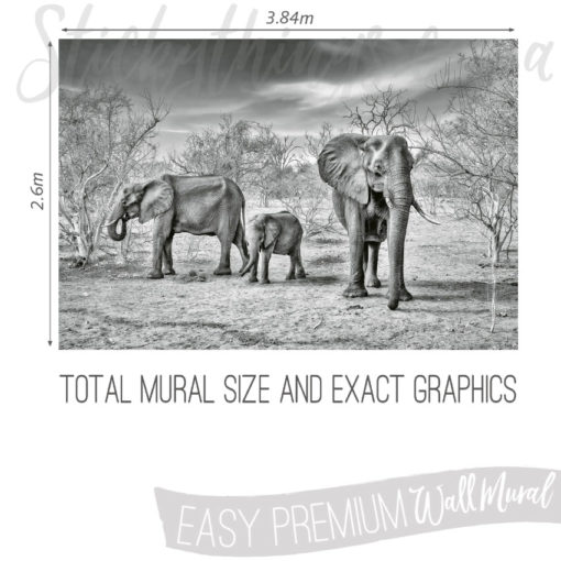 Size and Graphics of Monochrome Elephant Family Mural