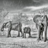 Black and White Elephant Herd Wallpaper Mural on a wall