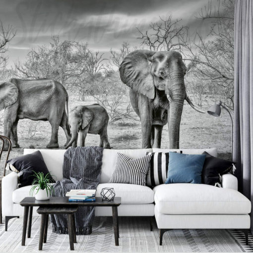 Elephants Wall Mural on a wall behind a couch