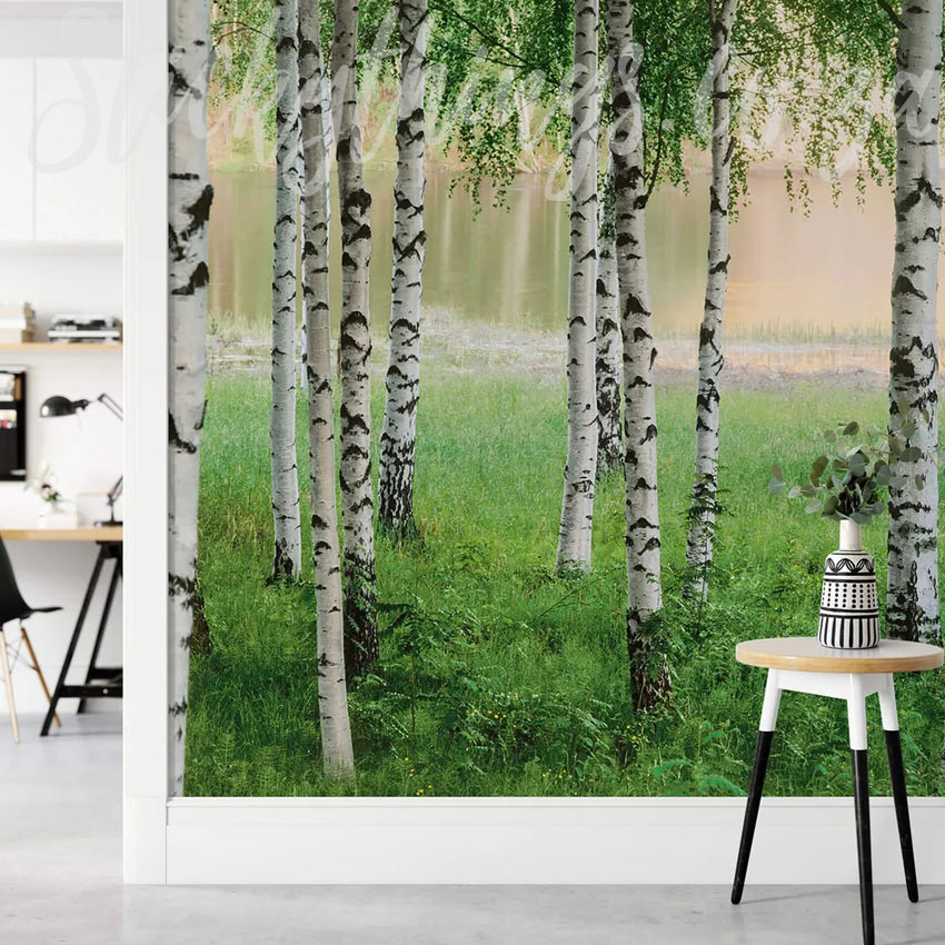 Nordic Forest Mural - Scandinavian Birch Forest Photo Mural Wallpaper