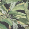Closeup of the Black Tropical Leaf Wallpaper