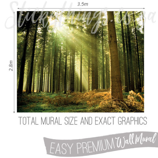 Measurements (3.5m x 2.8m) of the OhPopsi Sunlight Through Trees Wall Mural
