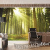 Green Forest Trees Wall Mural in an Office