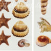 Close up of the detail in the Sea Shells Wall Stickers