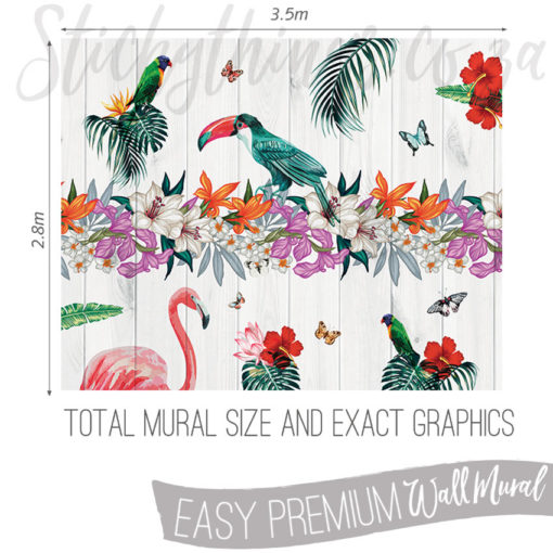 Exact measurements (3.5m x 2.8m) of the Tropical Birds of Paradise Wallpaper Mura