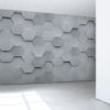 Metal Hexagon Wall Mural in an office passageway