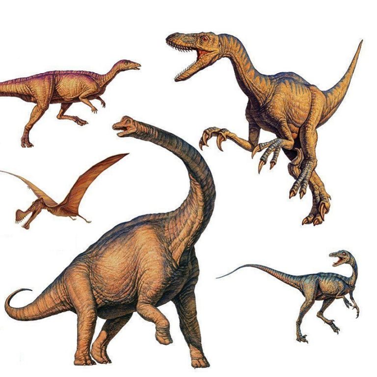 Close up of the realistic Dinosaur Wall Art Stickers