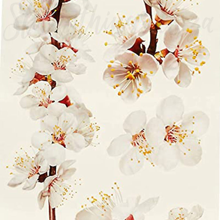 Close up of the detail in the Spring Blossoms Wall Decal