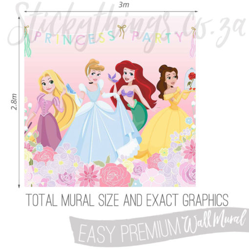 Exact measurements (3m x 2.8m) of the Princess Party Wall Mural