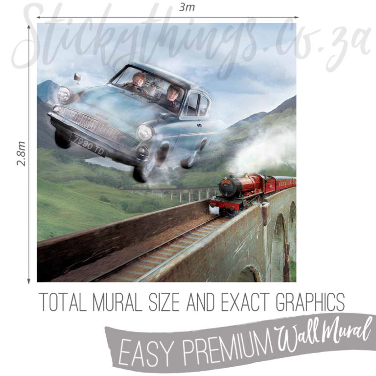 Exact measurements (3m x 2.8m) of the Harry Potter Wall Mural