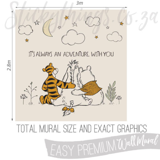 Exact measurements (3m x 2.8m) of the Winnie The Pooh Wall Mural