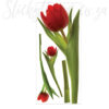 A sheet of Peel and Stick Red Tulip Flower Wall Decal