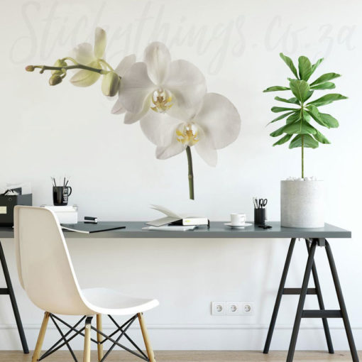 White Orchid Wall Sticker on an office wall next to a green plant