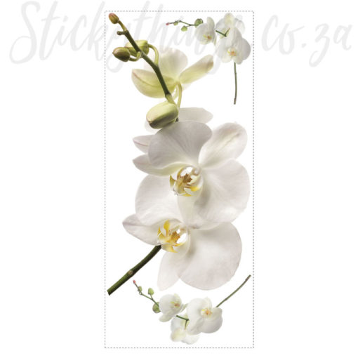 A sheet of Flowering Ochid Wall Art