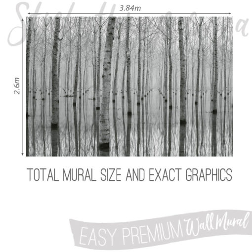 Size and Graphics of Birch Forest in the Water Mural