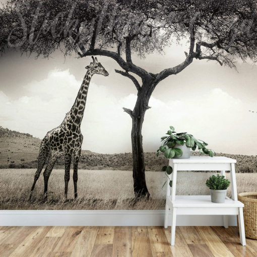 Giraffe Wall Mural on a wall