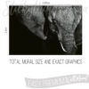 Size and Graphics of Monochrome Elephant Face Mural