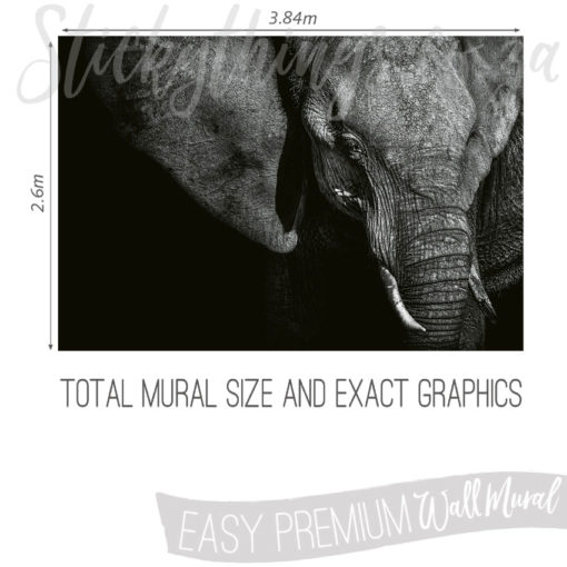 Size and Graphics of Monochrome Elephant Face Mural
