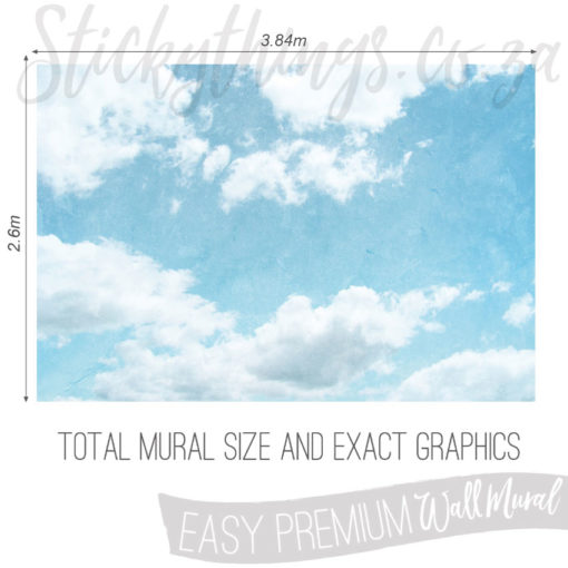 Size and Exact Graphics of Abstract Filter Clouds and Sky Wallpaper Mural
