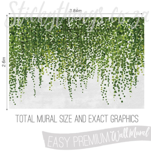 Size and Exact Graphics of Growing Leaves Wallpaper Mural