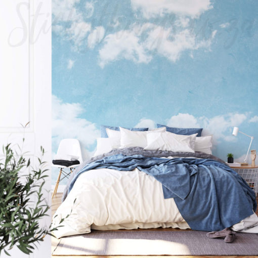 Grunge Skies Wall Mural on a bedroom wall