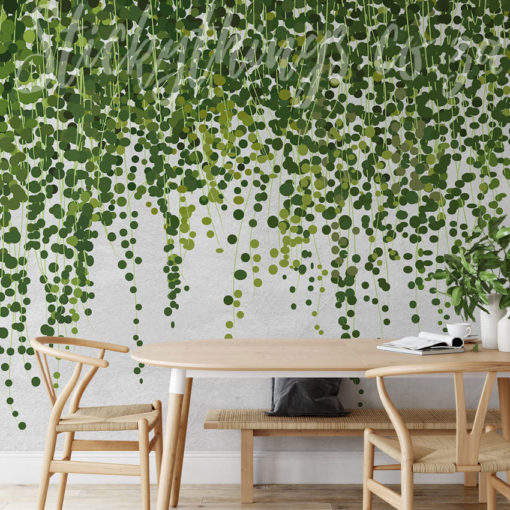 Hanging Plants Wall Mural on a wall