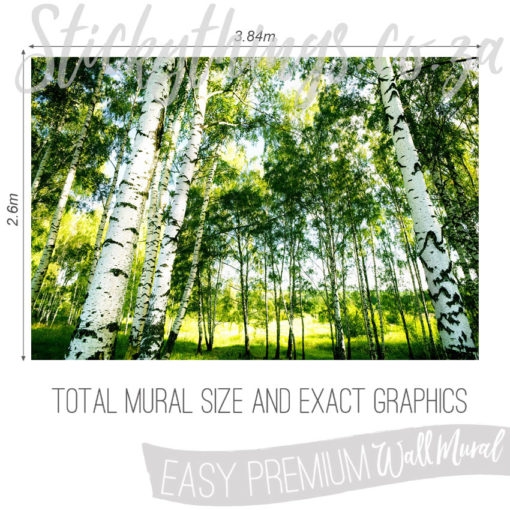 Size and Graphics of Nordic Birch Trees Wallpaper
