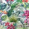 A close up of Tropical Orchid Wallpaper
