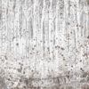A close up of Grey Abstract Forest Wallpaper Mural