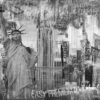 A close up of New York City Wall Mural
