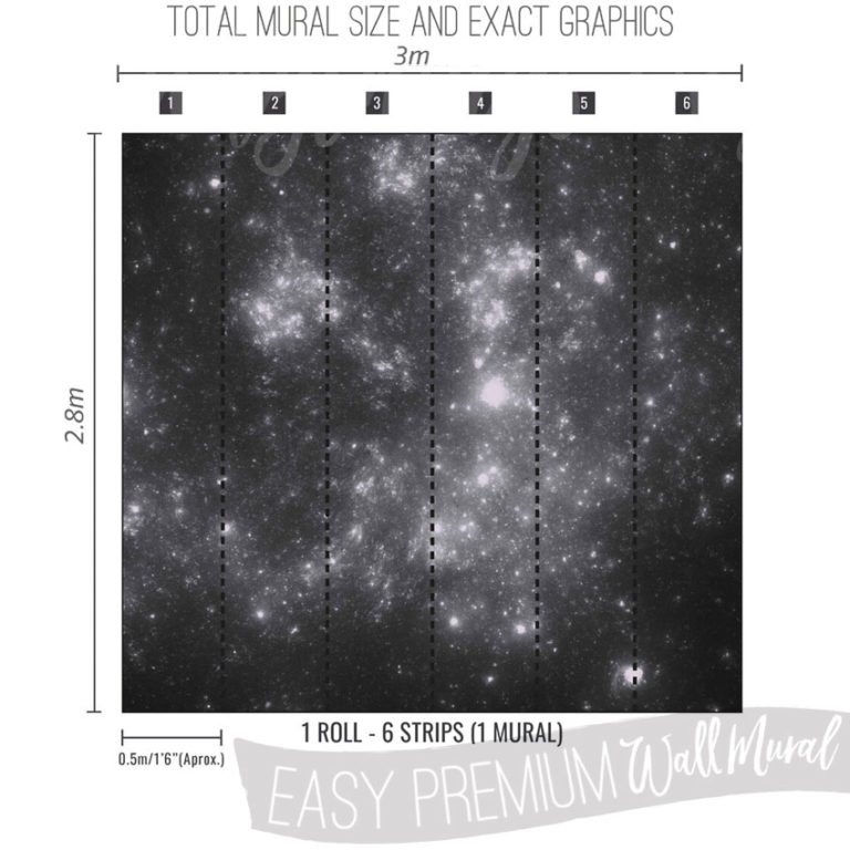 Size and Exact Graphics of Star Constellations in Space Wall Mural