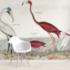 Ibis and Flamingo Wall Mural on a wall