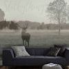 Stag Deer Wall Mural on a living room wall