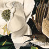 A close up of Vintage Birds Floral Wallpaper Mural