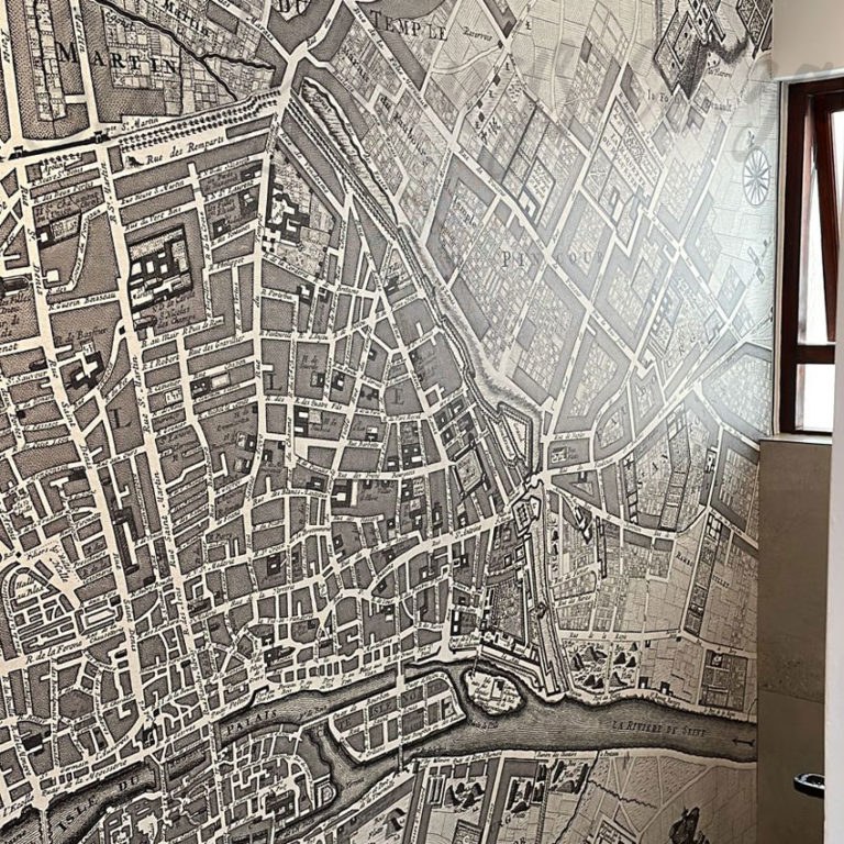Suble Matte Textured Vintage Map Mural in a Bathroom