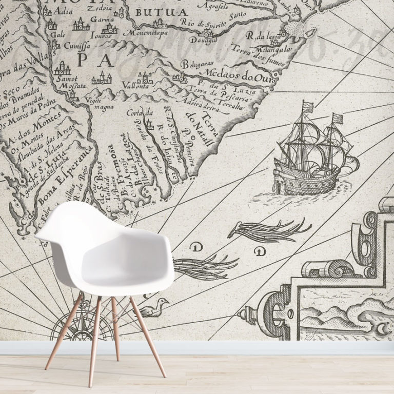 Vintage South Africa Map Mural on a wall