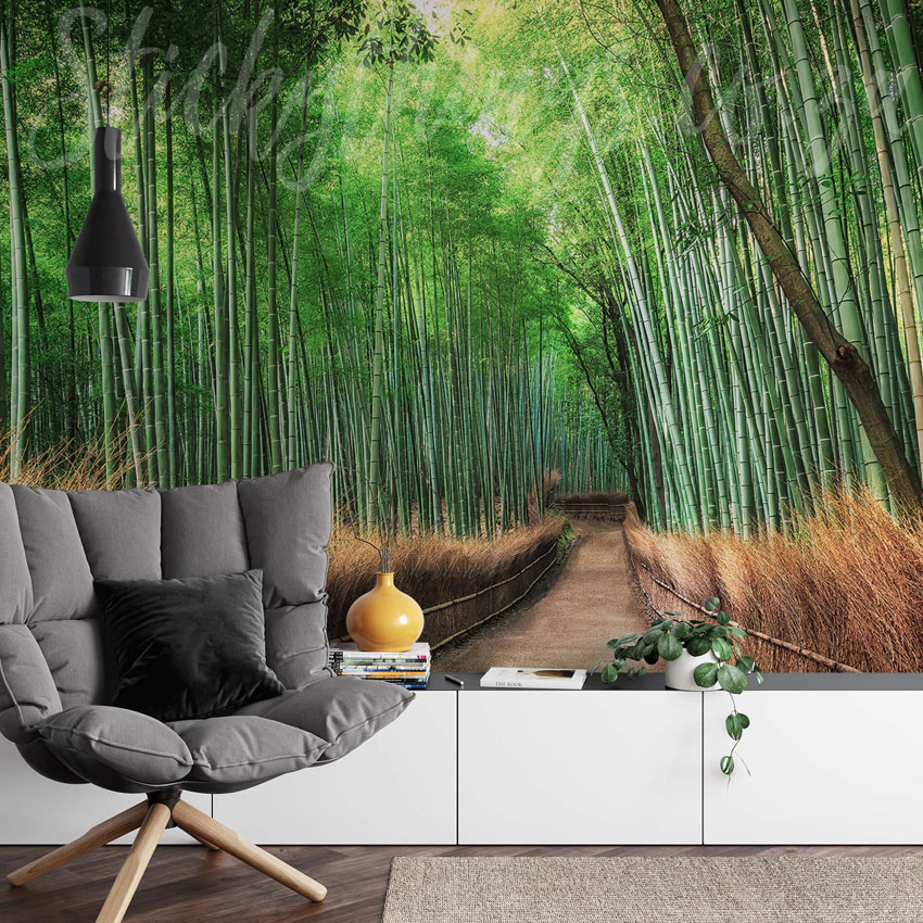 Bamboo Forest Wall Mural - Kyoto Bamboo Trees Wallpaper Mural