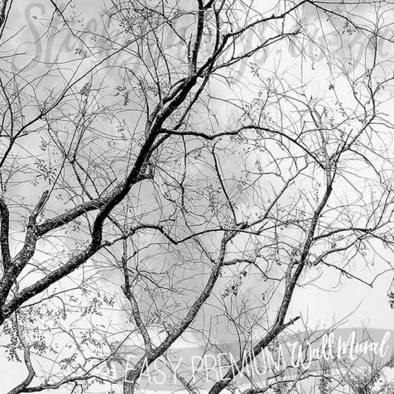 A close up of Black and White Trees Mural